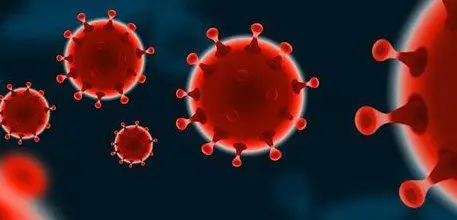 Coronavirus