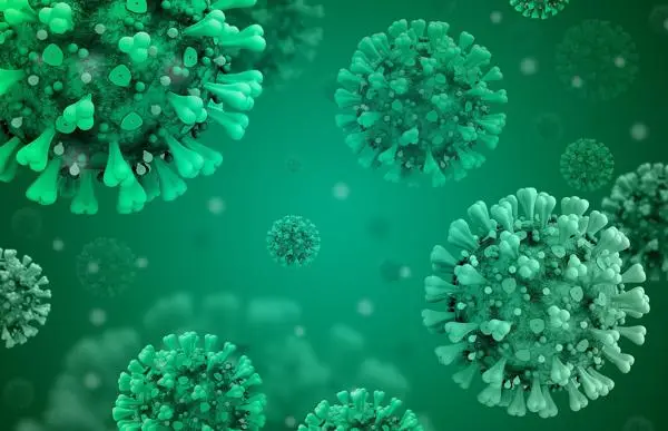 Corona virus