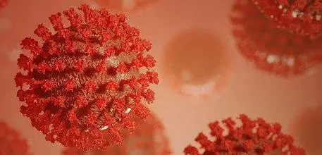 Coronavirus
