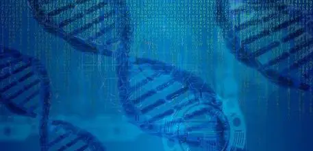 DNA analysis