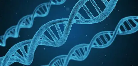 DNA