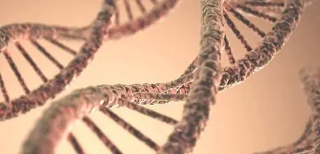 DNA peach colour