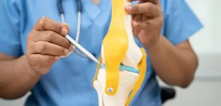 Healthcare professional with a knee joint model