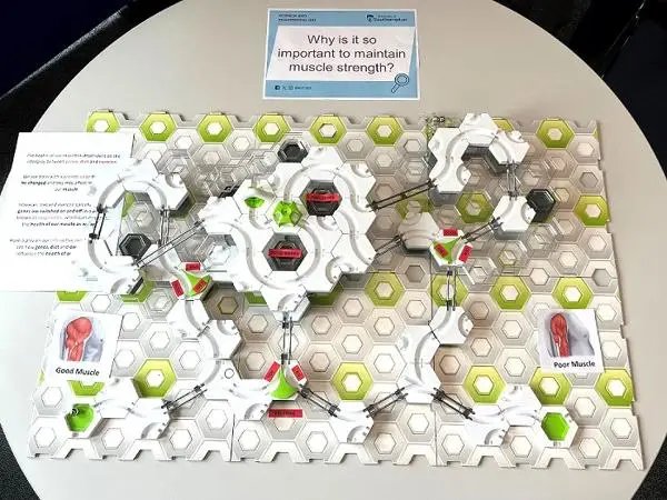 Health maze public engagement game