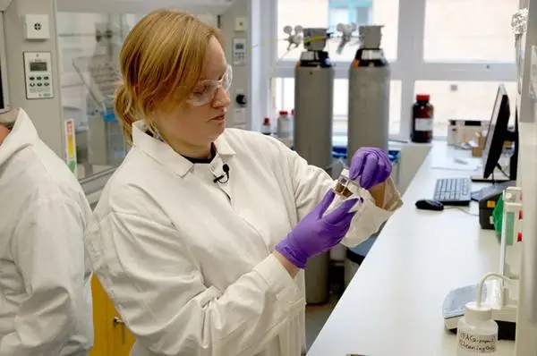Dr Nat Easton in a laboratory analysing a tree bark sample