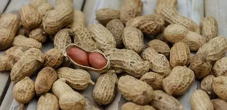 Peanuts