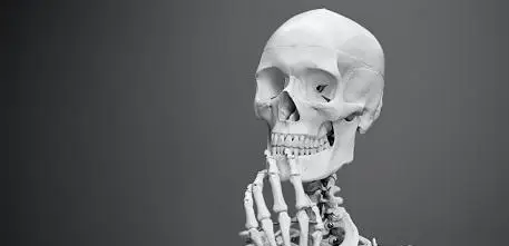 Skeleton